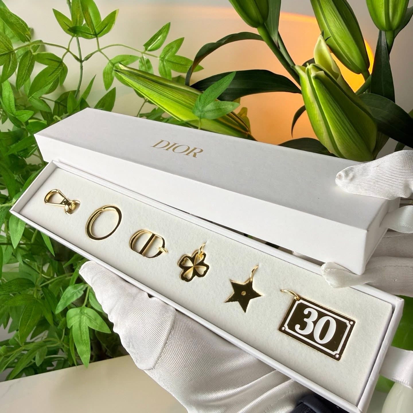 Dior charms limited edition