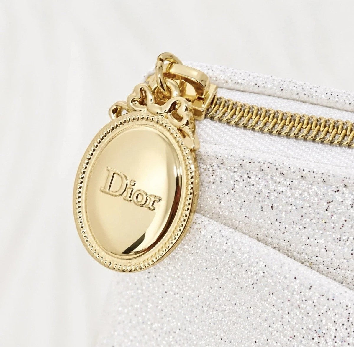Dior Limited Edition Pouch
