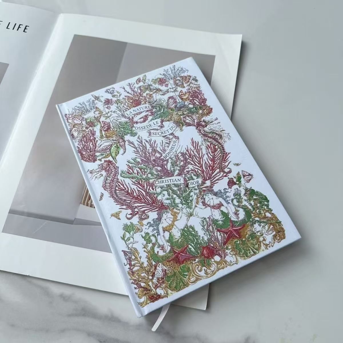Dior Notebook