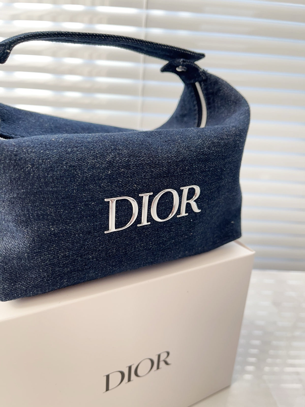 Dior pouch