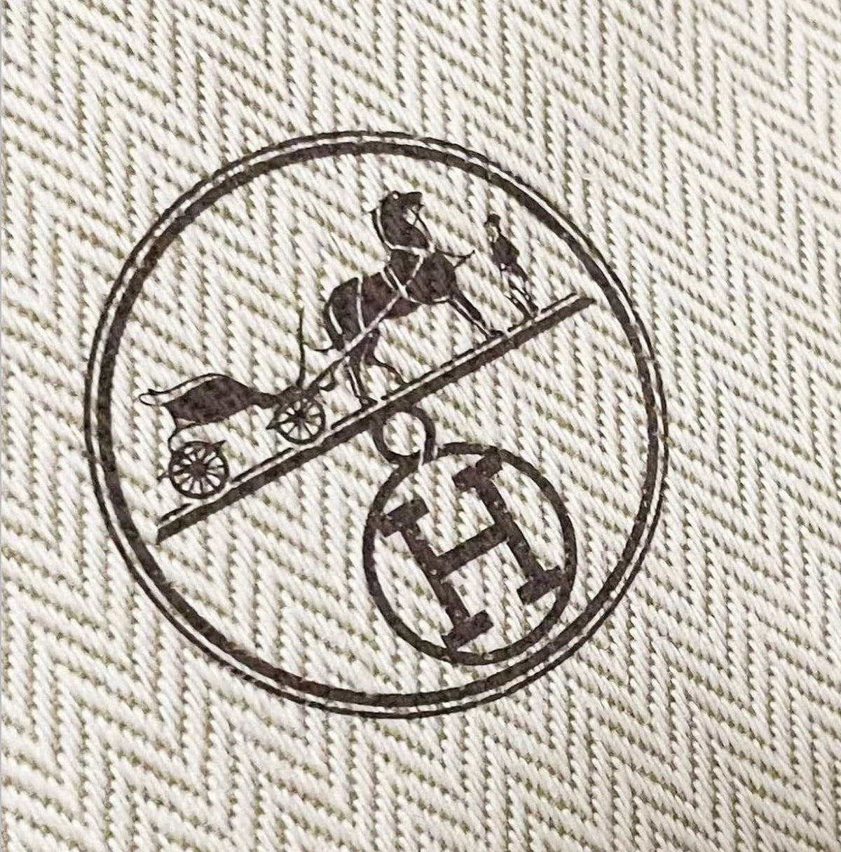 Hermes Pouch