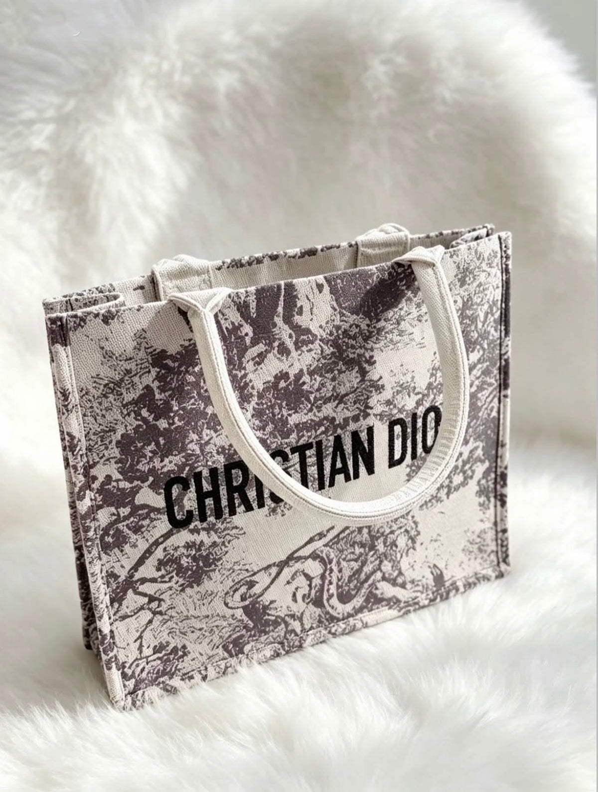 Dior Tote