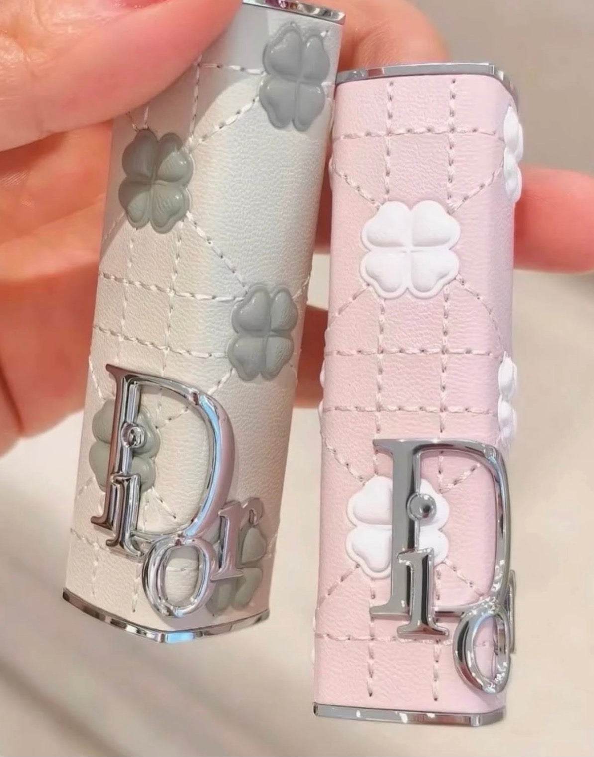 Dior Limited Lipstick Case
