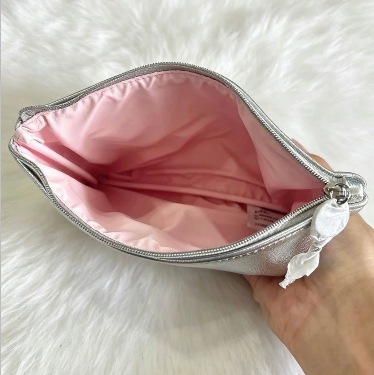 Dior Pouch