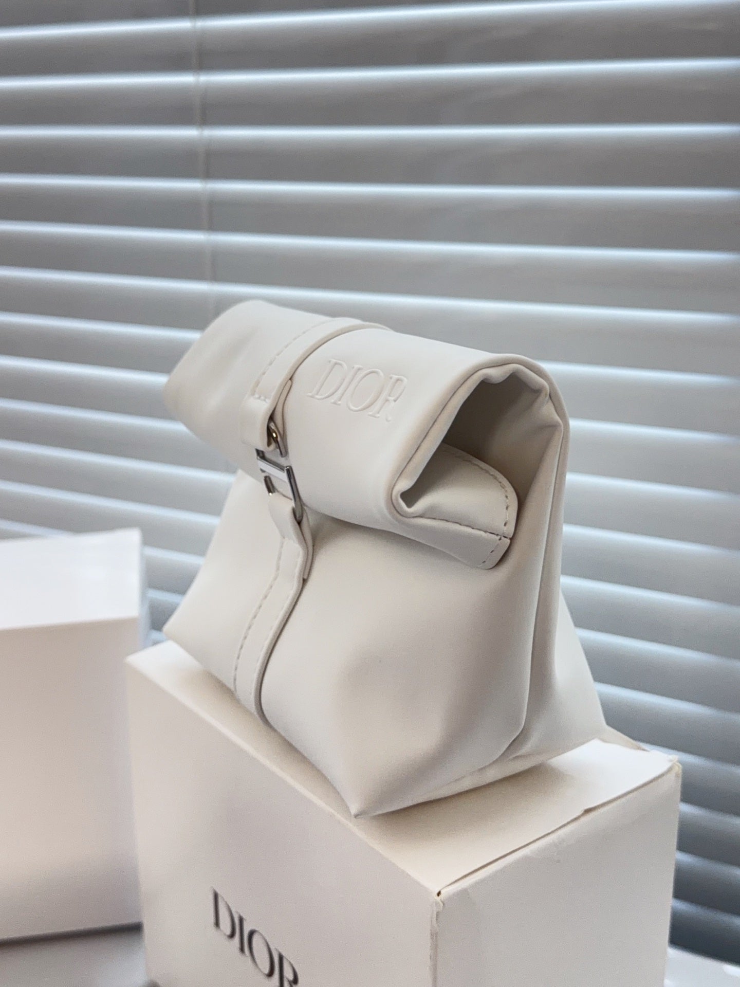 Dior storage bag