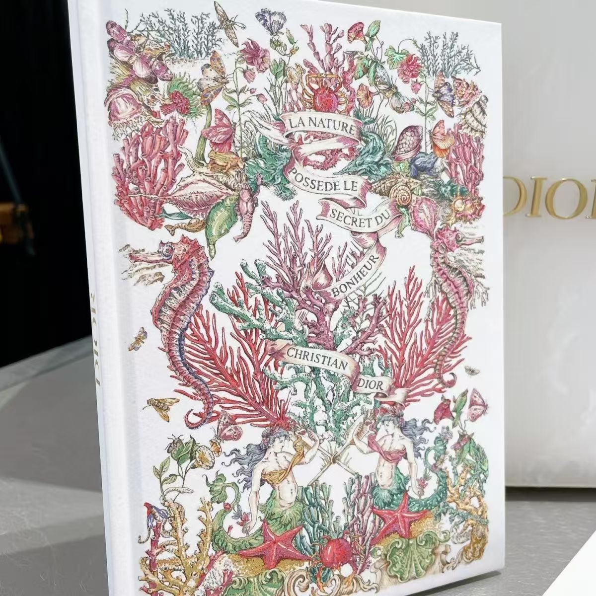 Dior Notebook