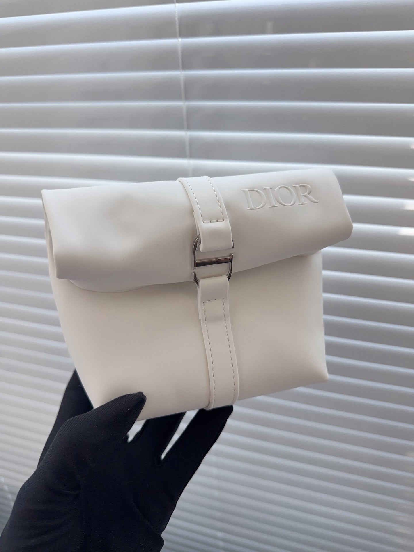Dior storage bag