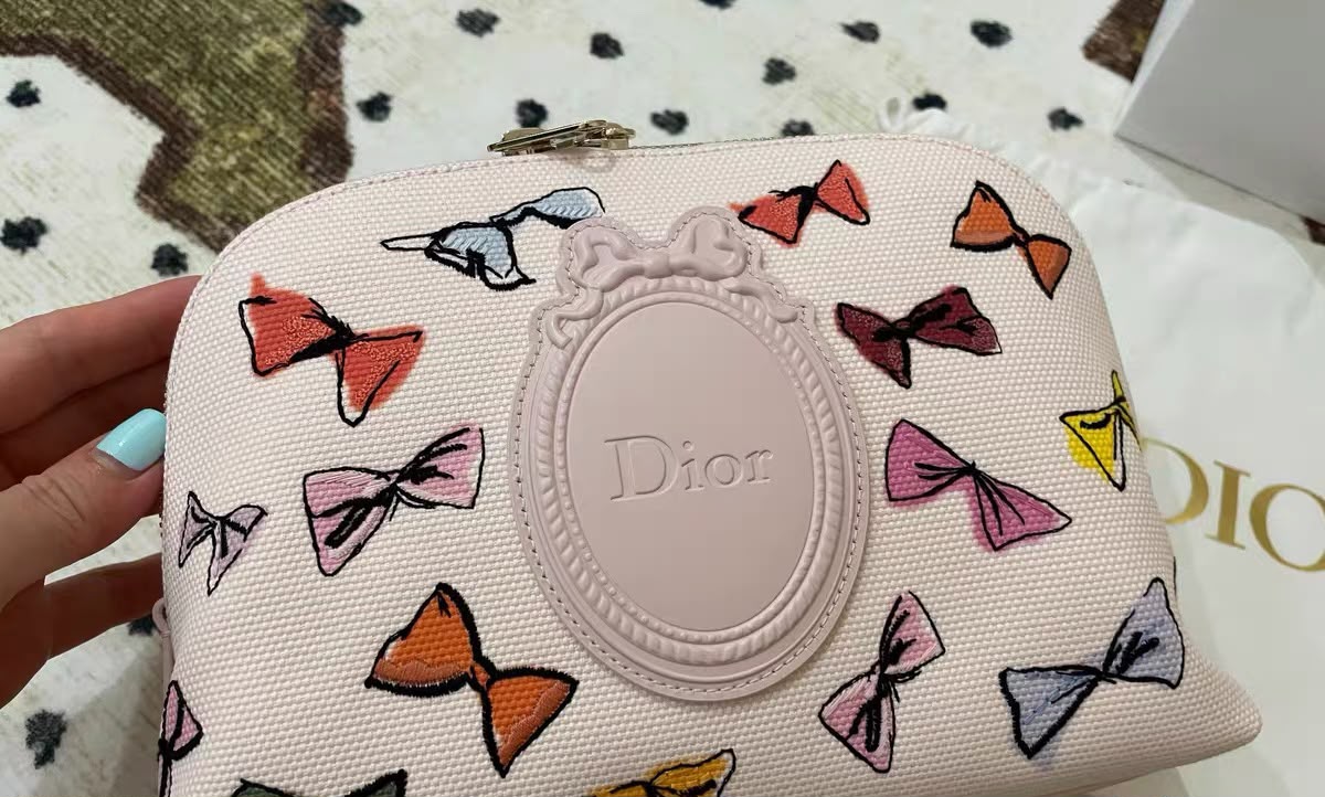 Rare Dior Pouch