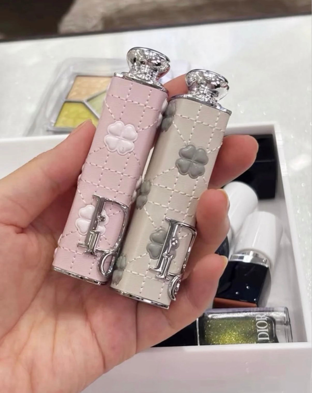 Dior Limited Lipstick Case