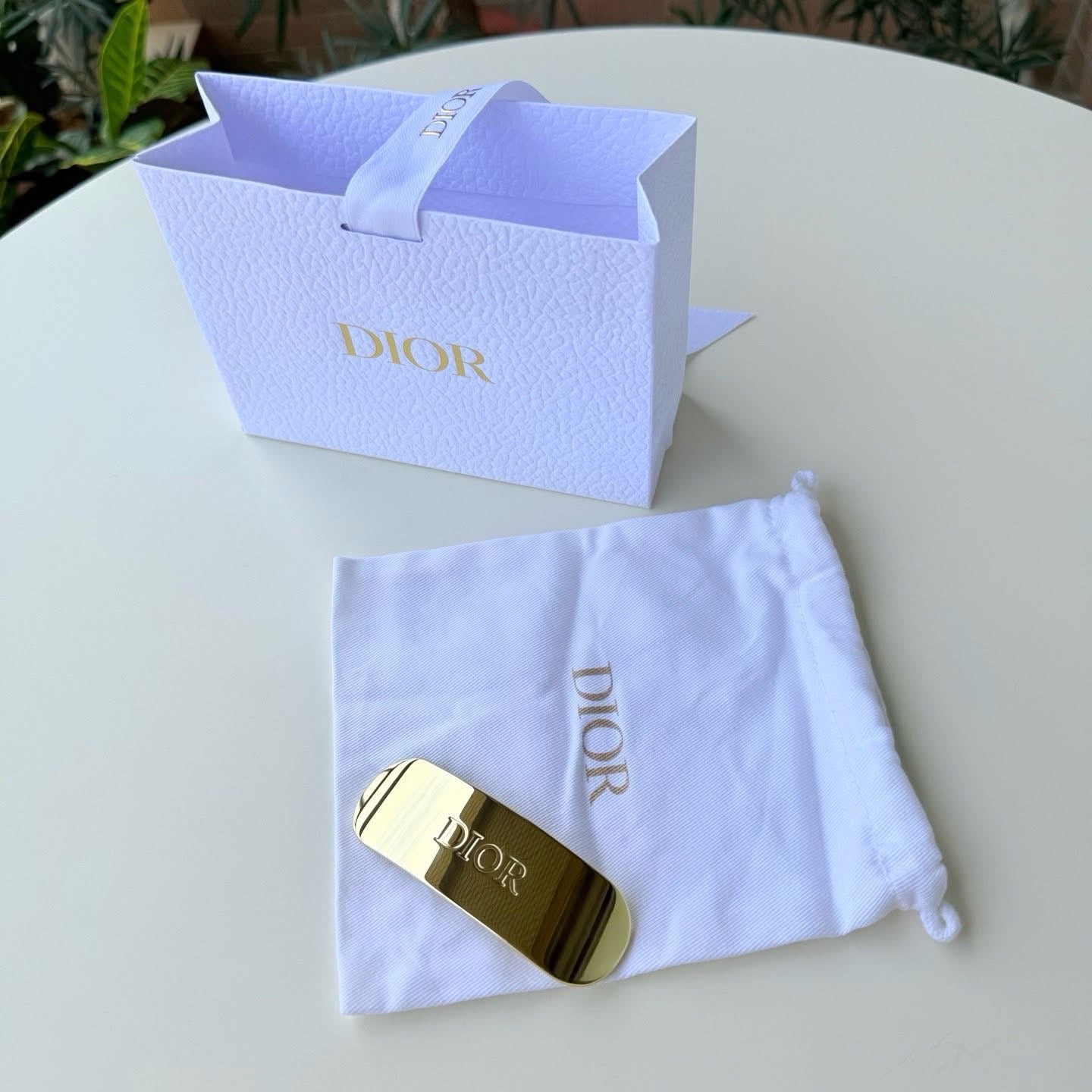Dior Hairclip