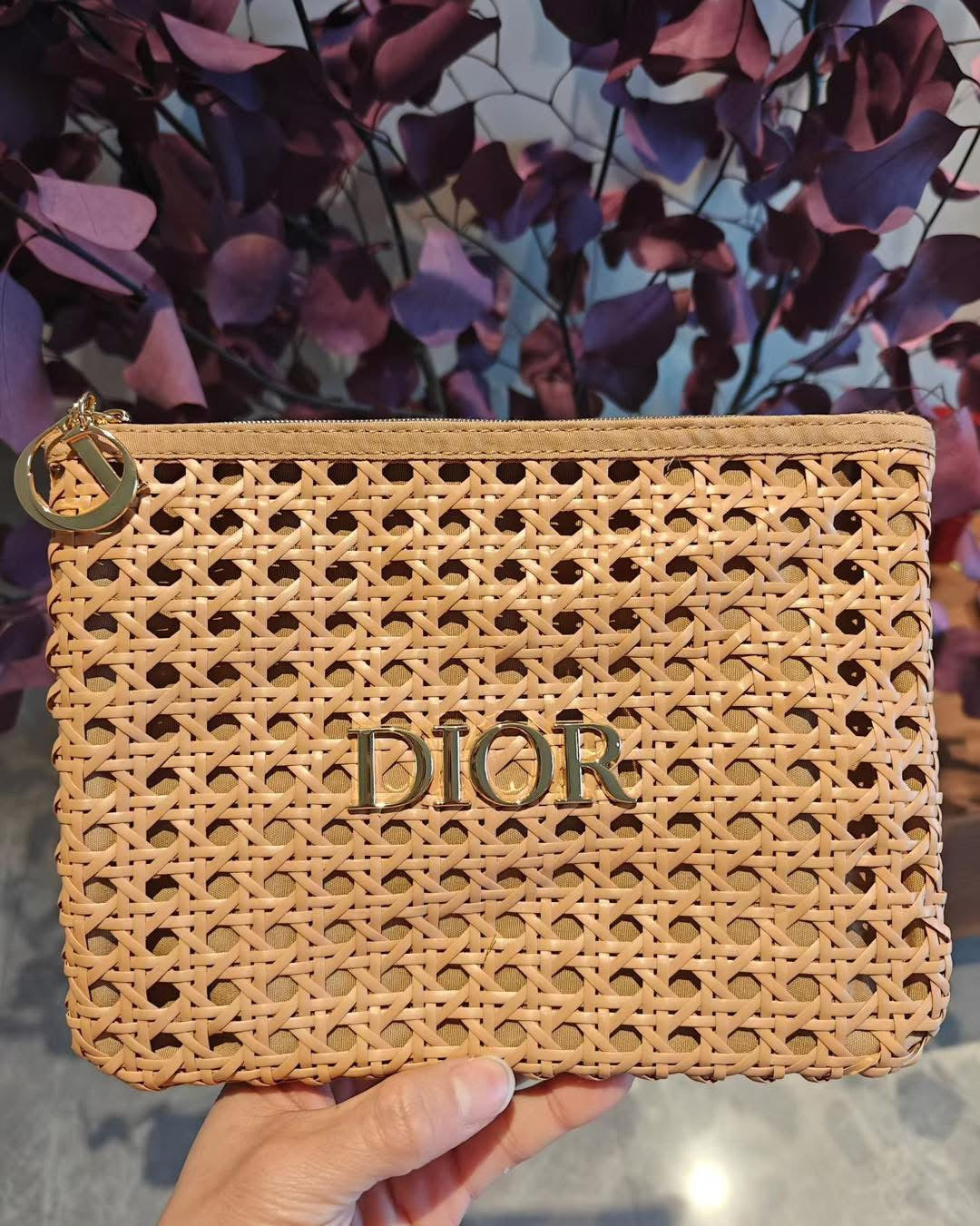 Dior pouch new collection