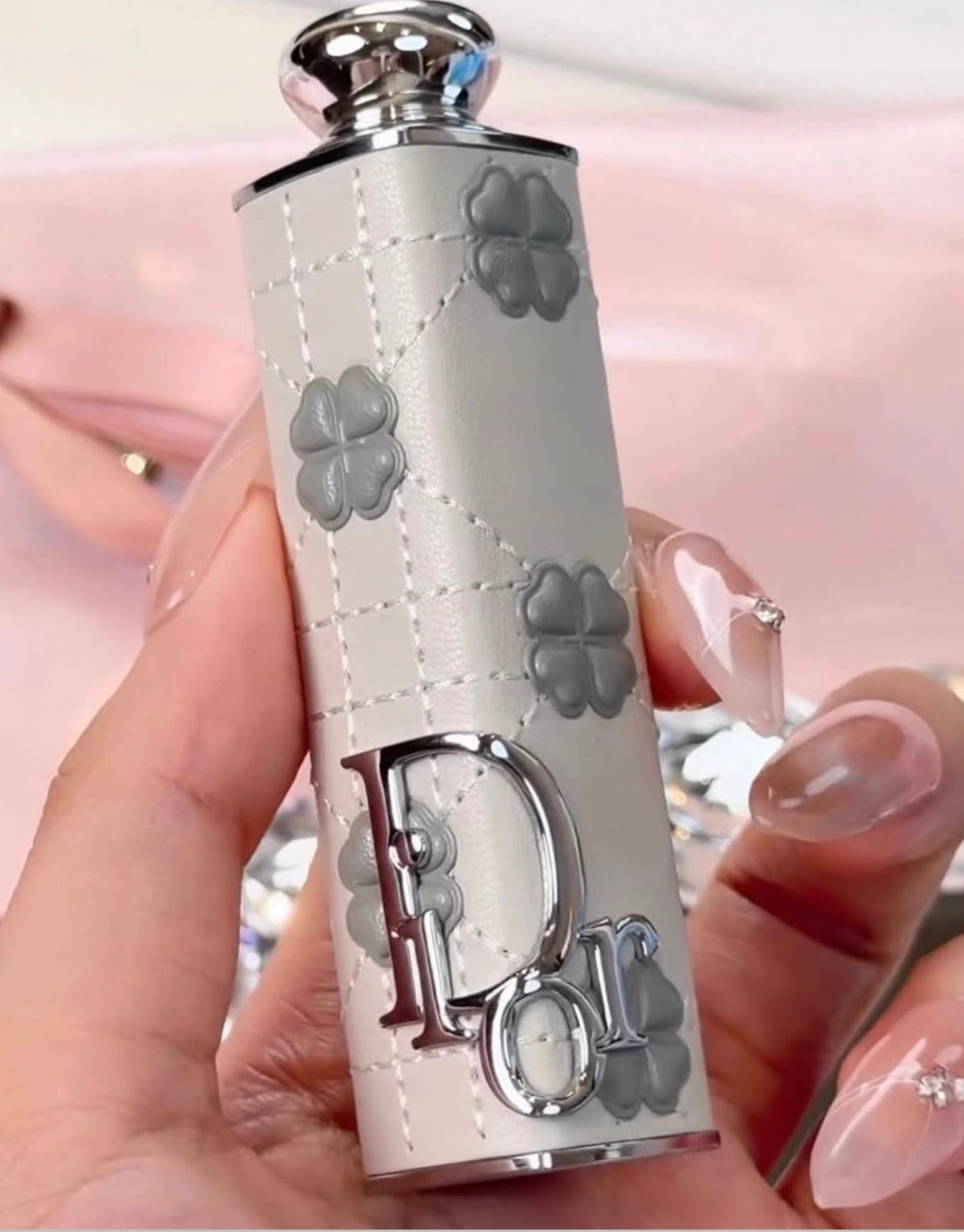 Dior Limited Lipstick Case