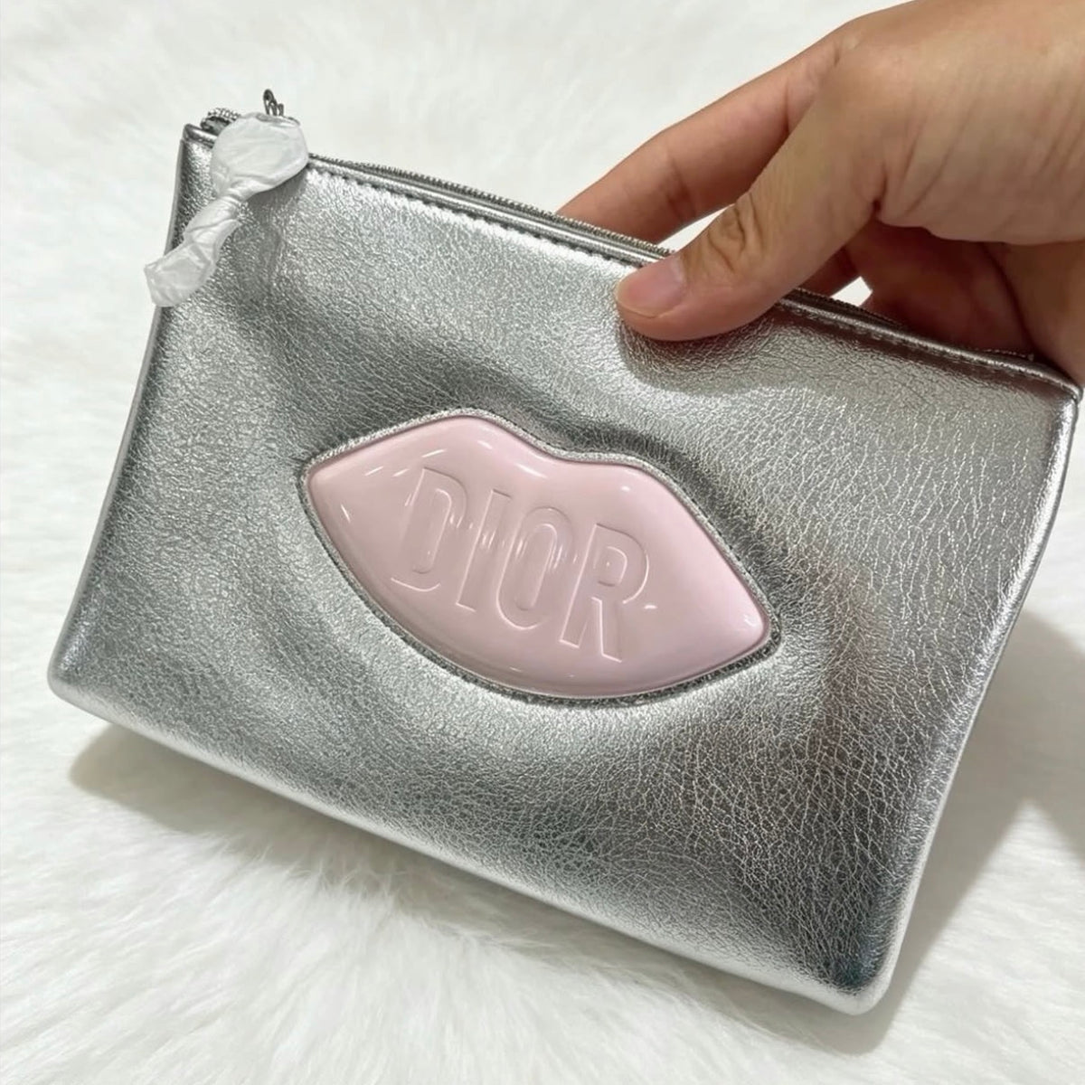 Dior Pouch