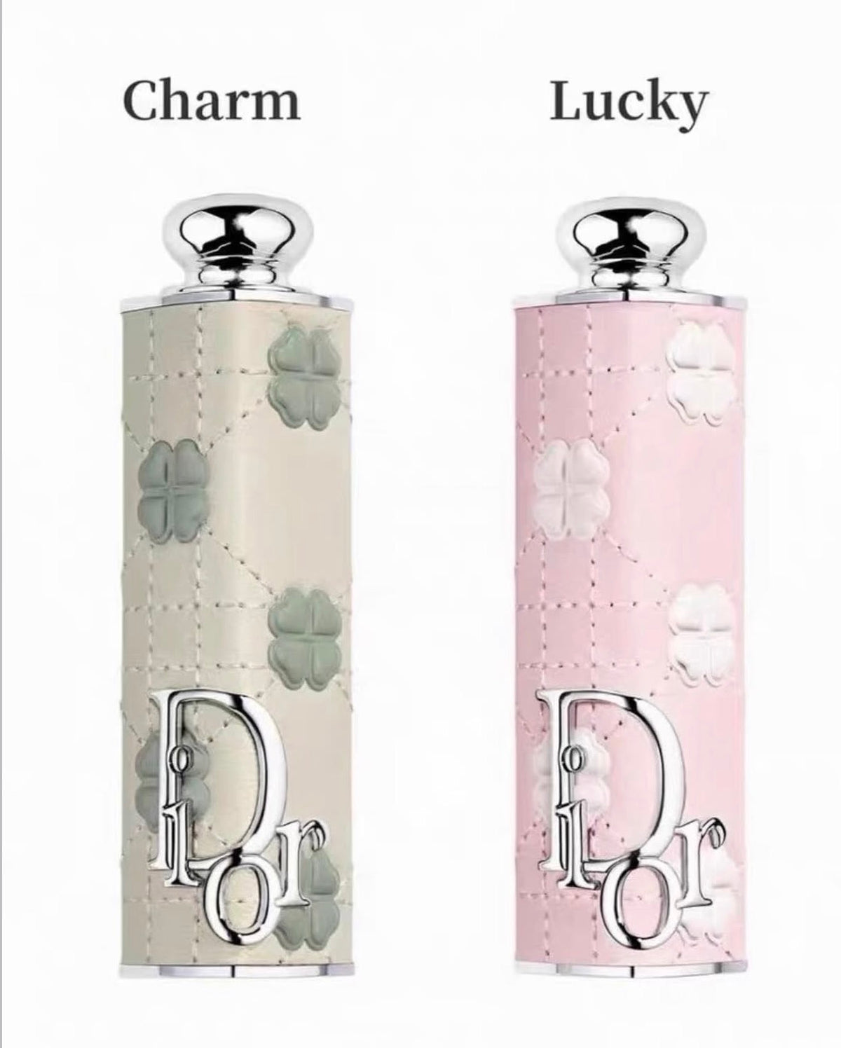 Dior Limited Lipstick Case