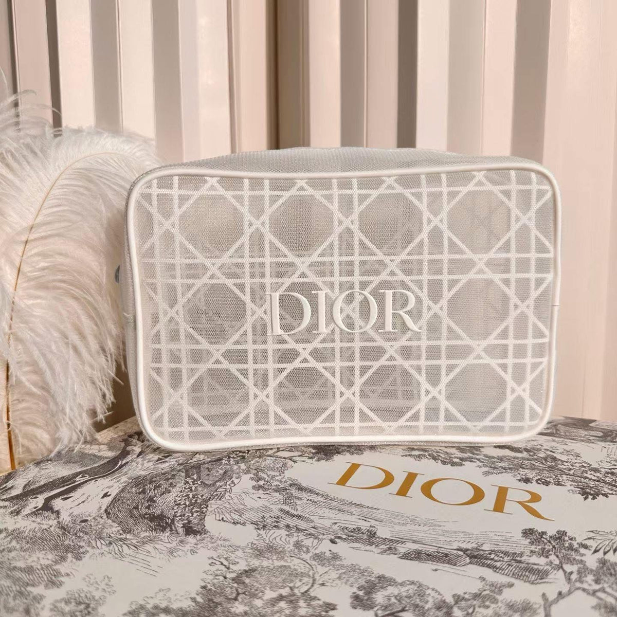Dior pouch