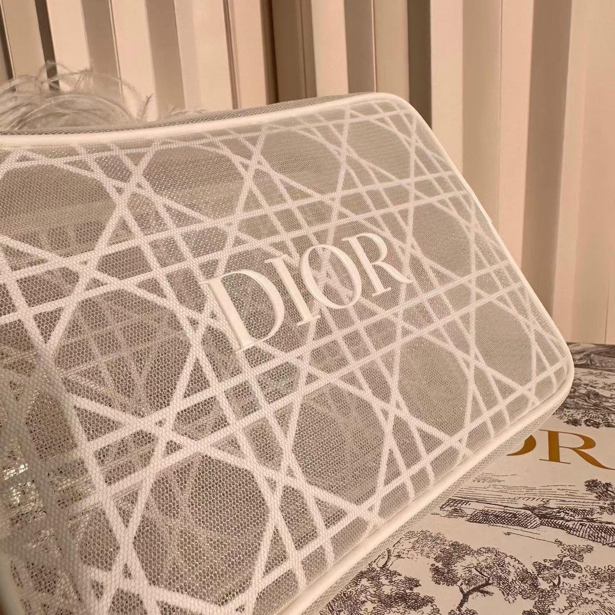 Dior pouch
