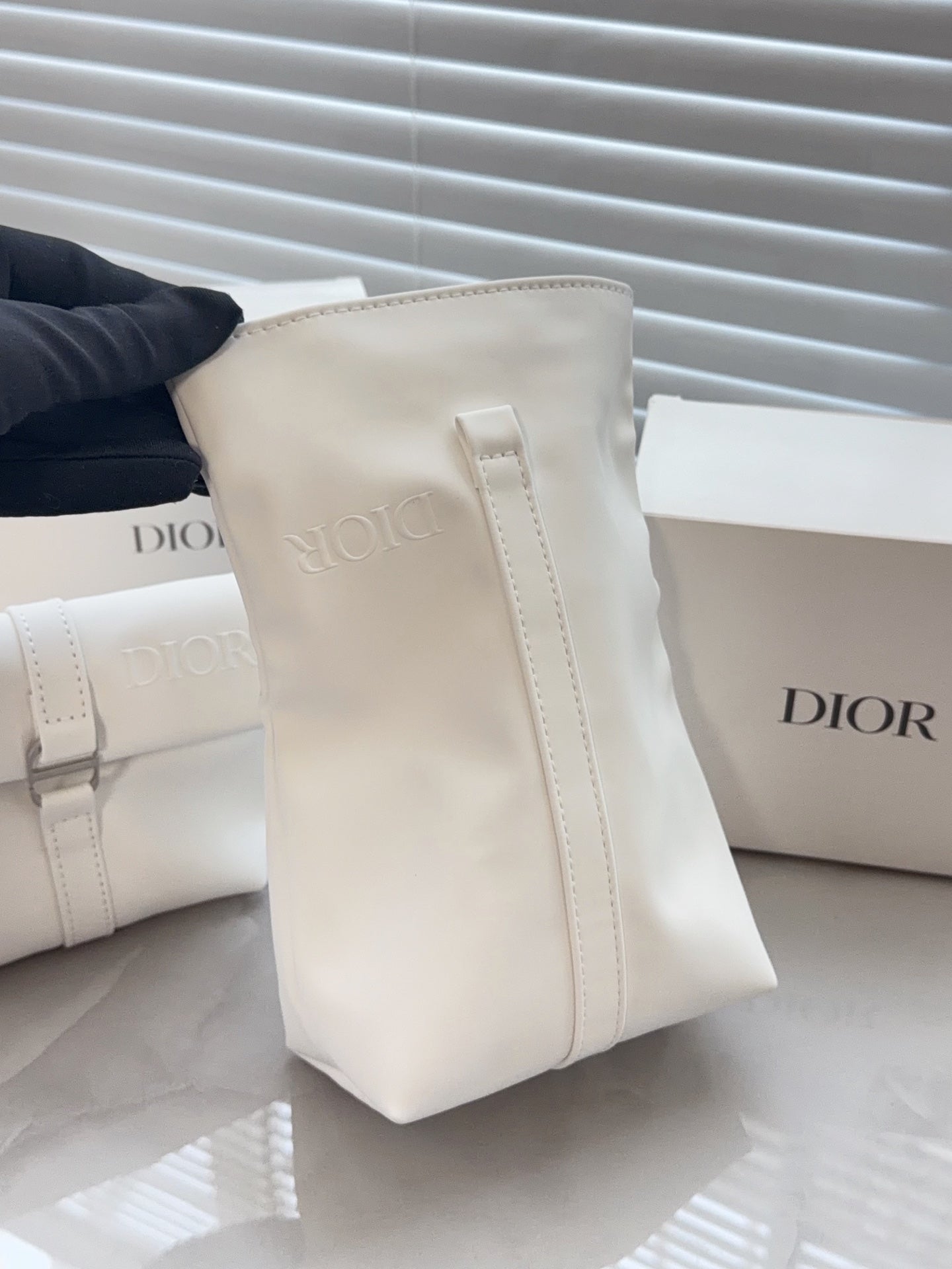 Dior storage bag
