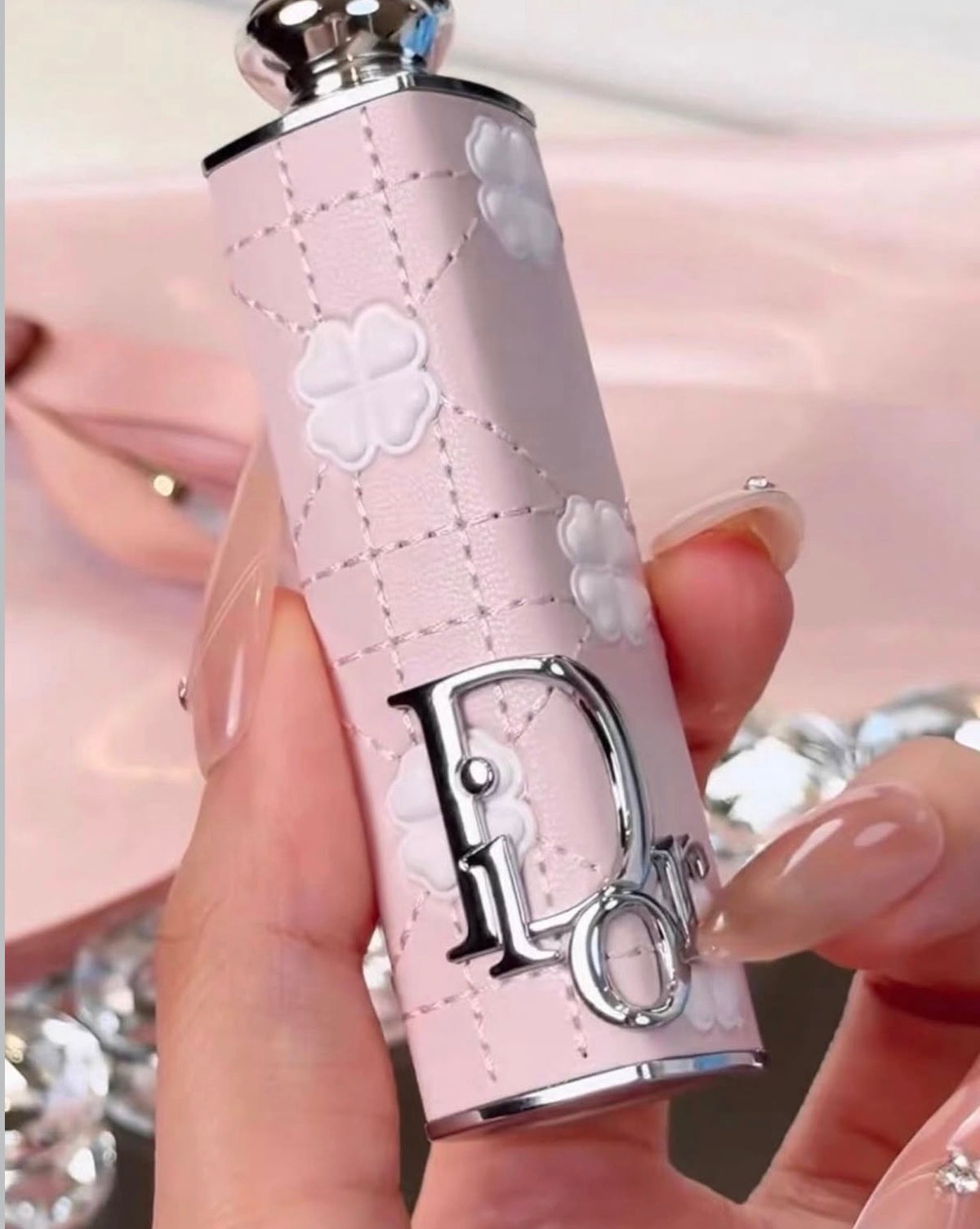 Dior Limited Lipstick Case