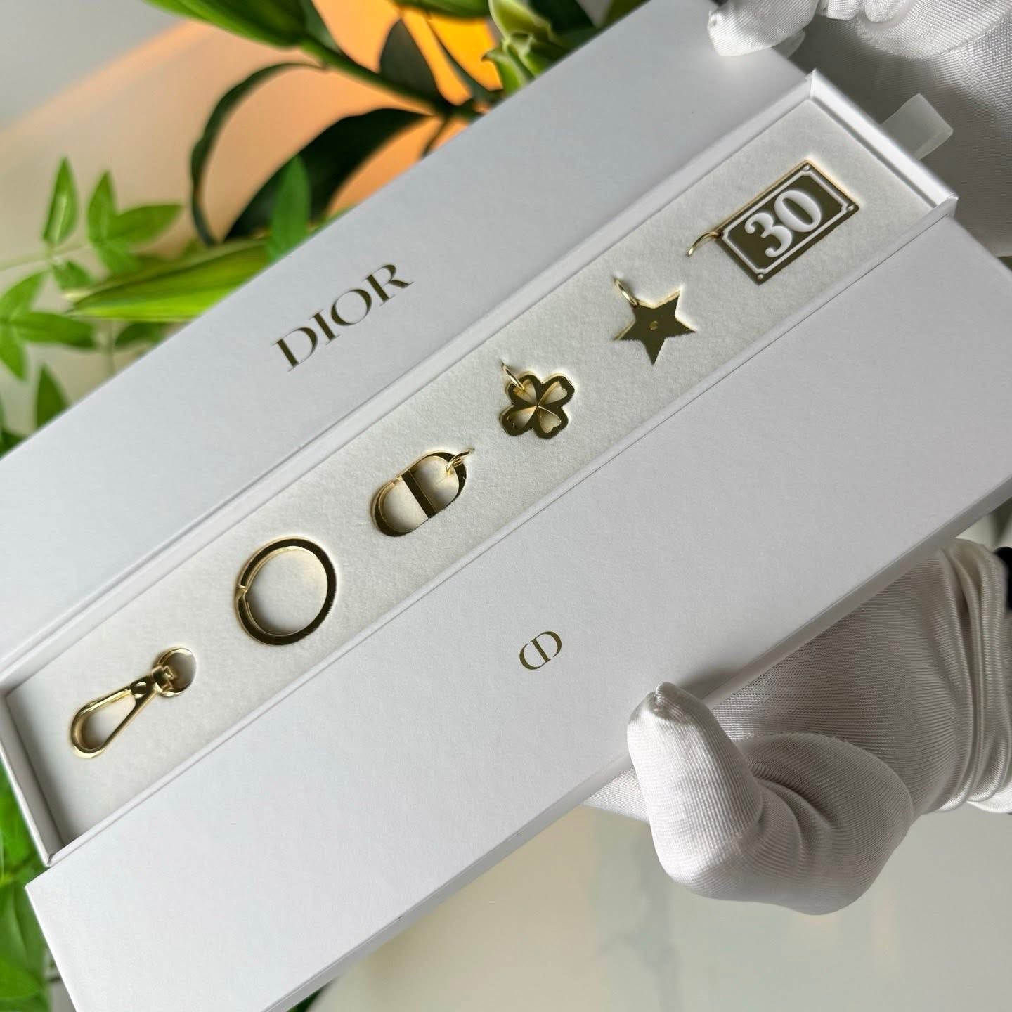 Dior charms limited edition