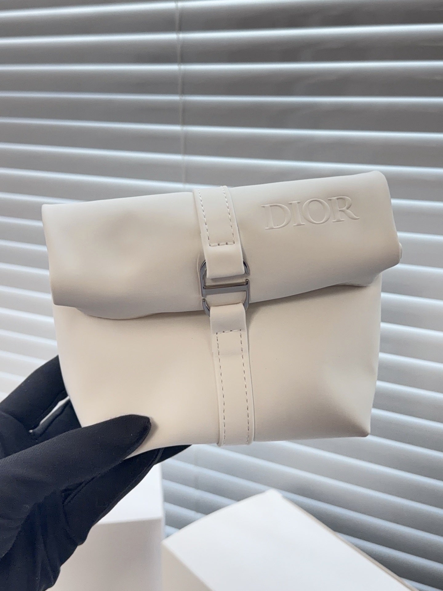 Dior storage bag