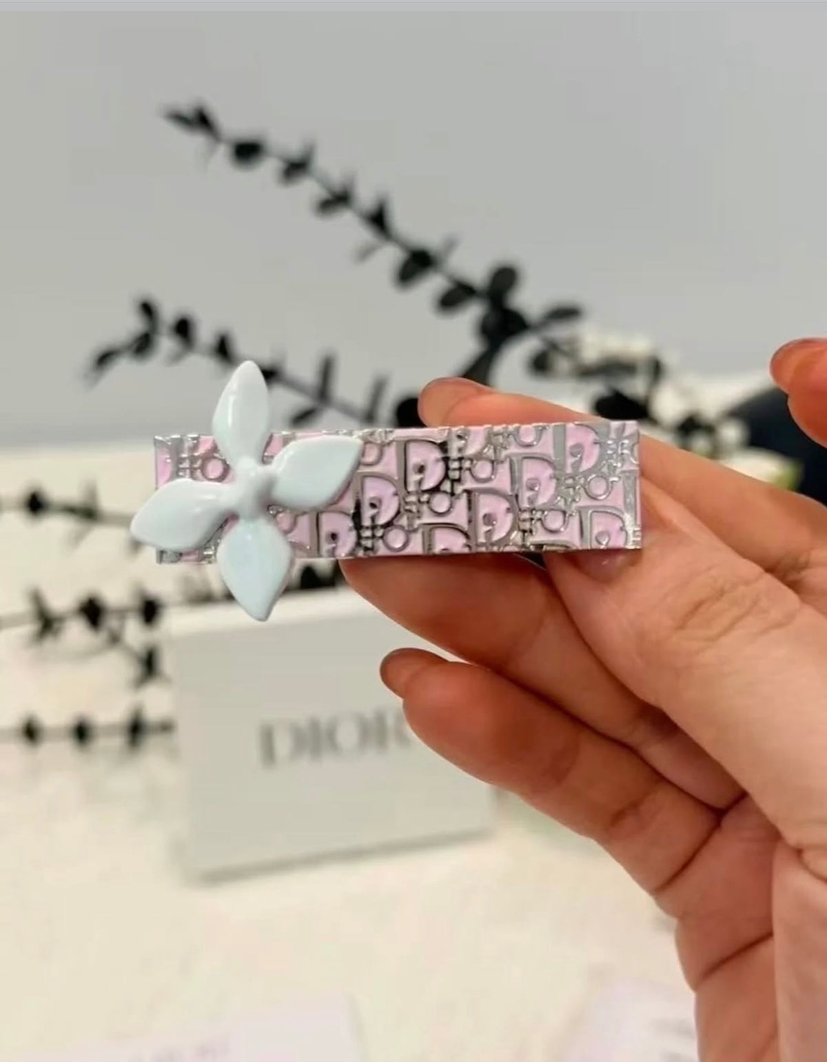 Dior hair clips
