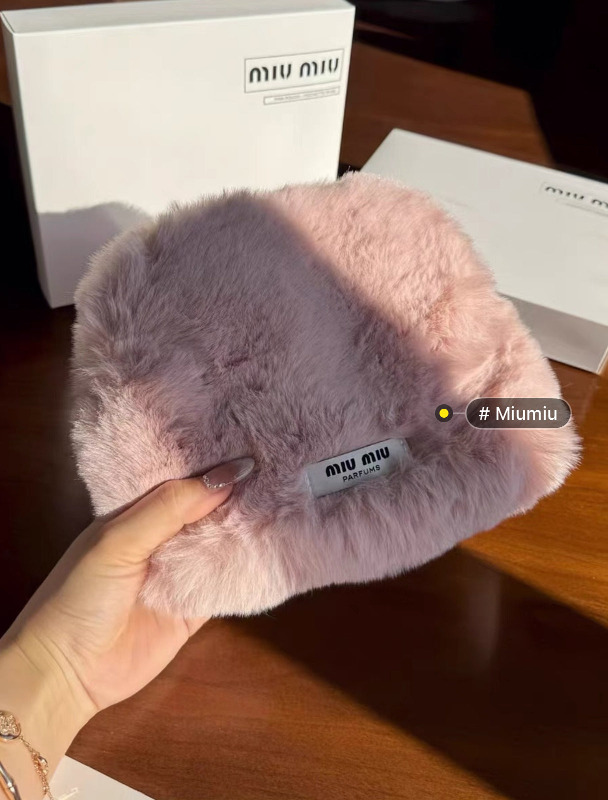 Miu Miu pouch