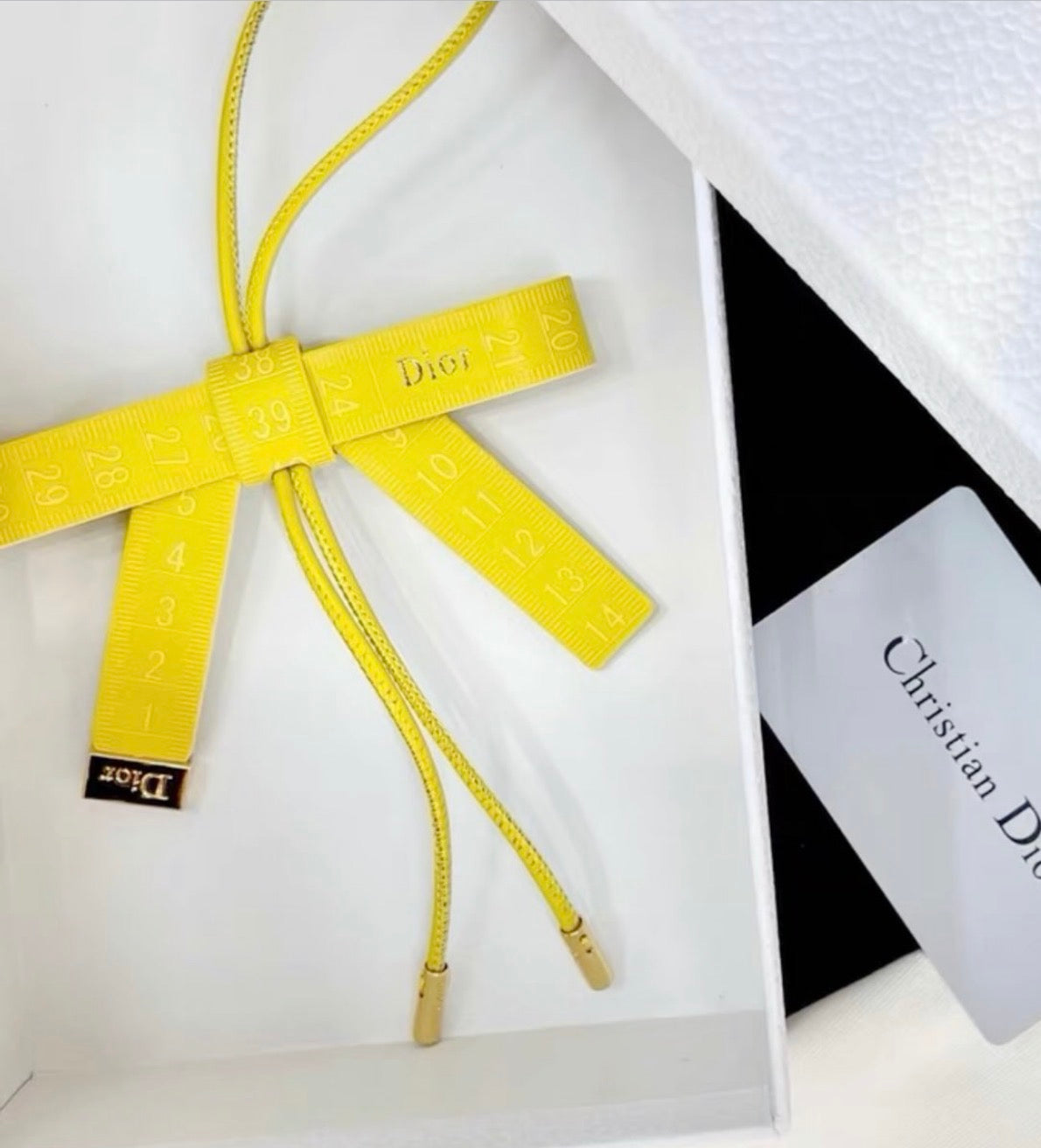 Dior Bag Charm