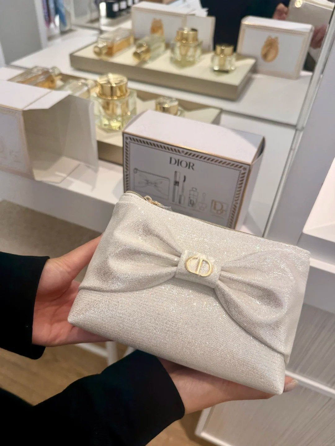 Dior Limited Edition Pouch