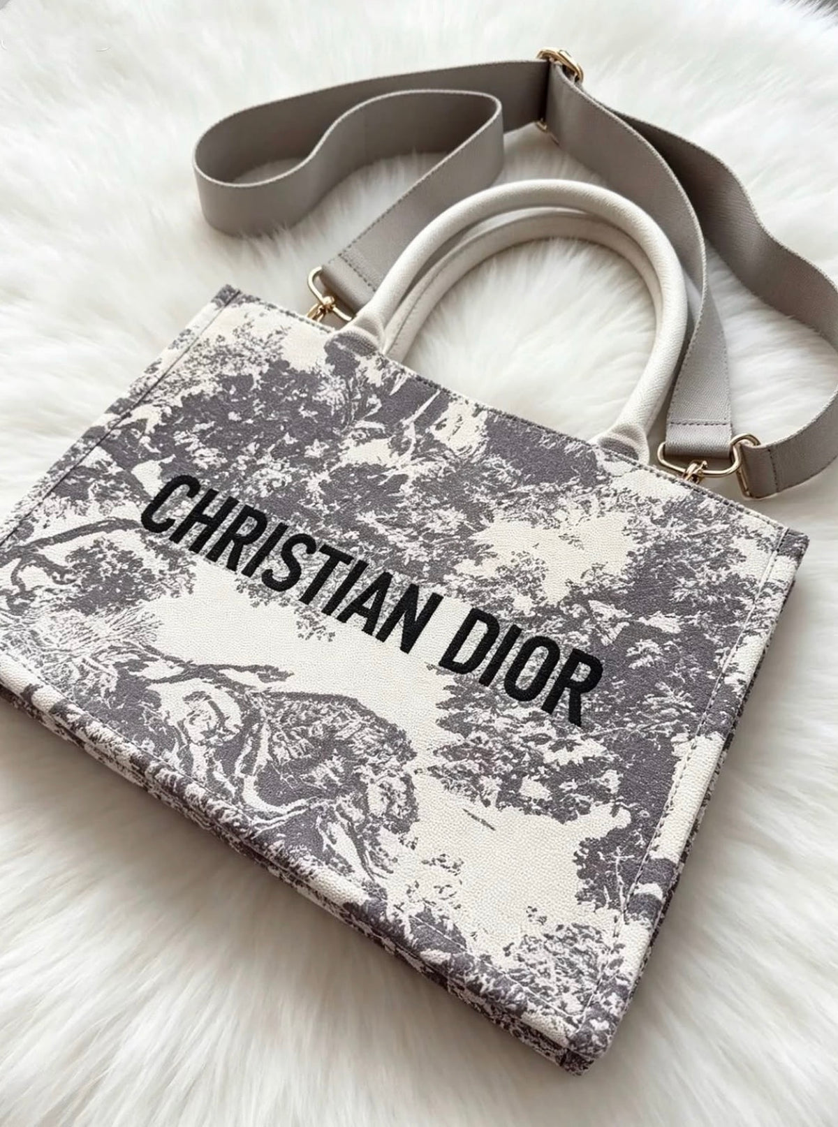 Dior Tote