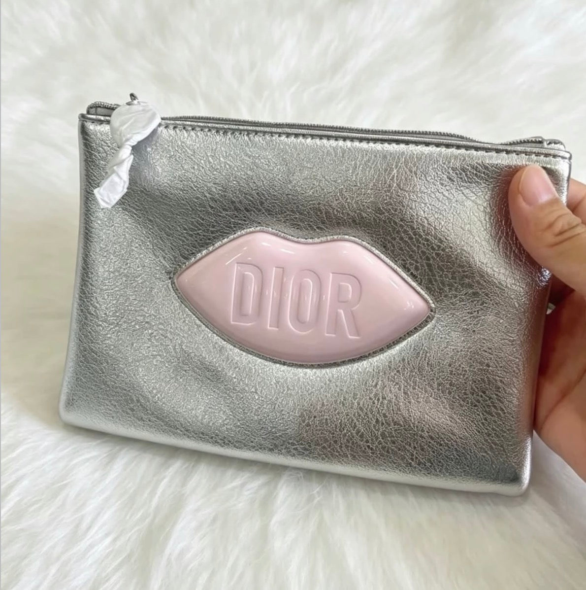 Dior Pouch