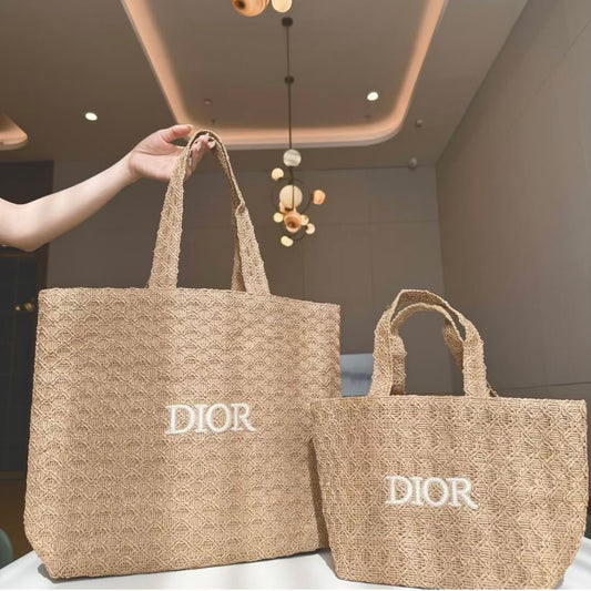 Dior tote small