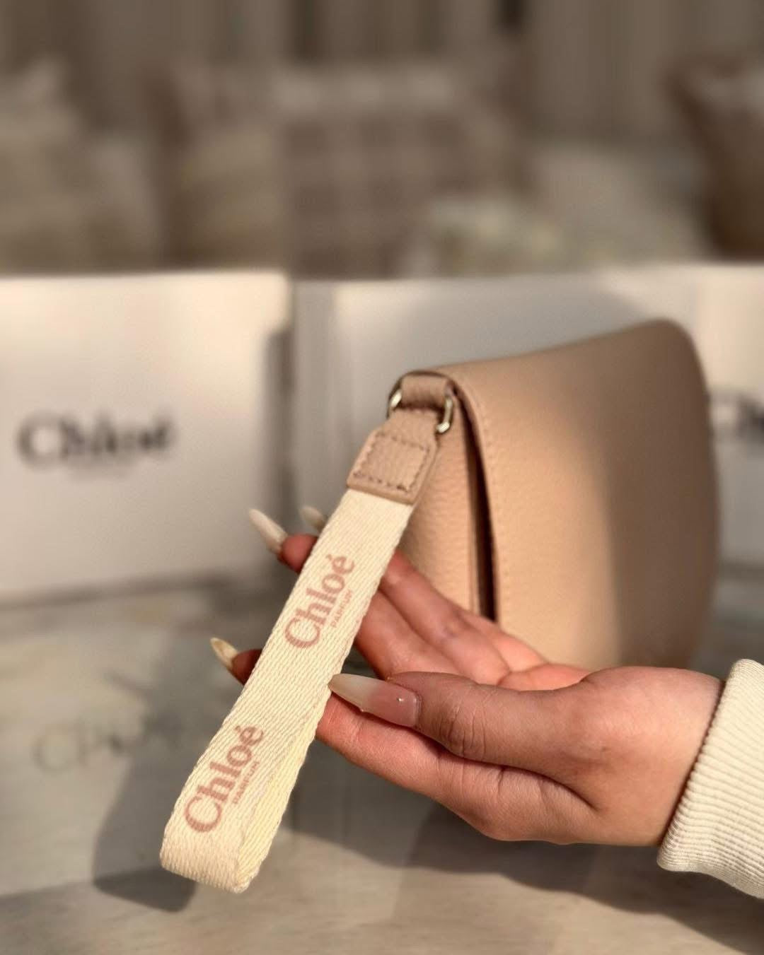 Chloe beauty pouch