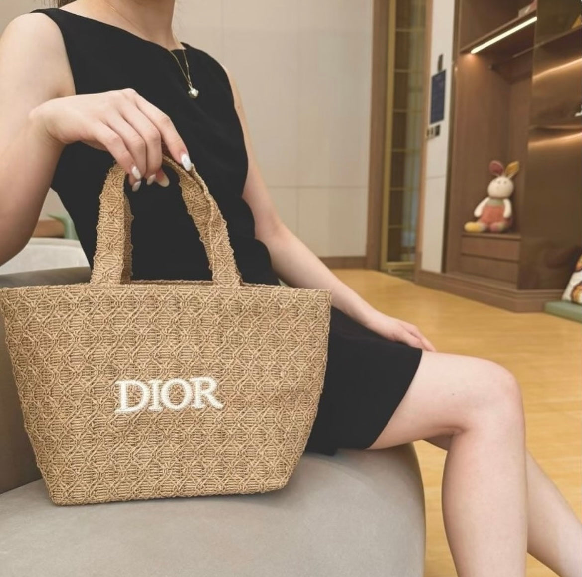 Dior tote small