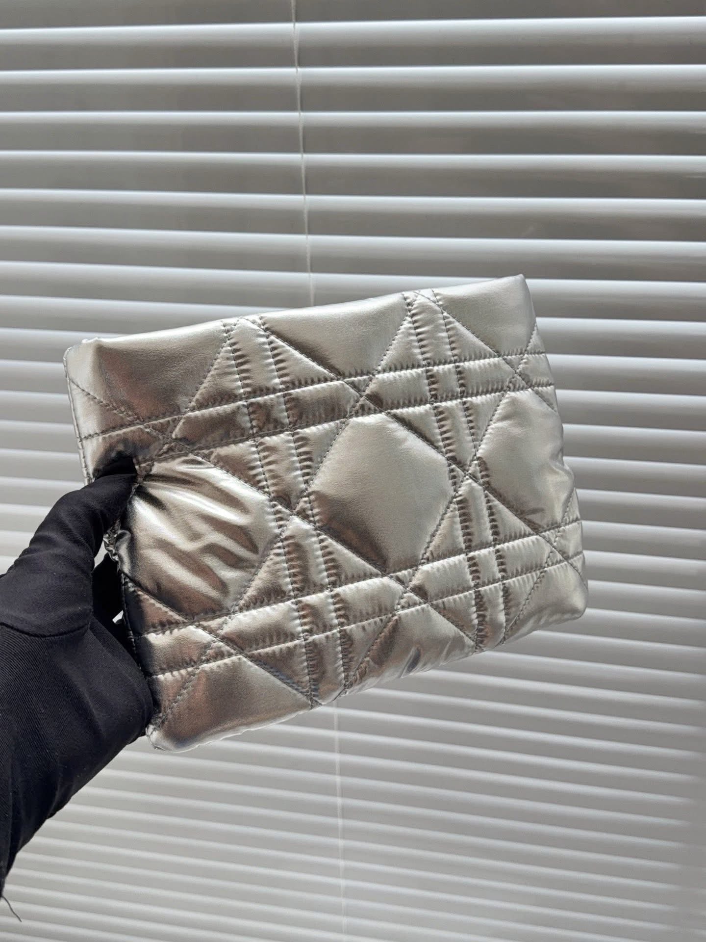 Dior New Limited Edition Silver Makeup Bag