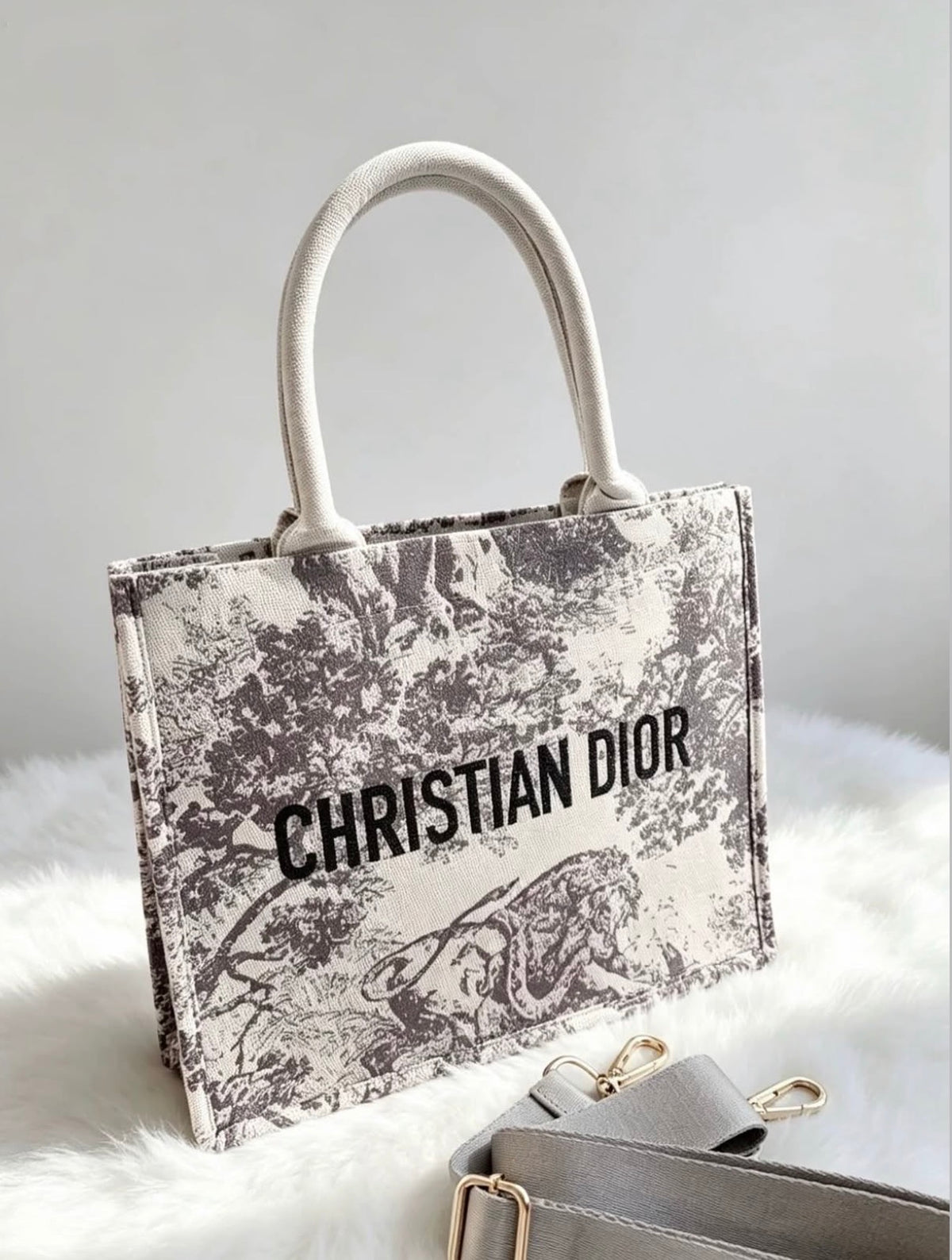 Dior Tote