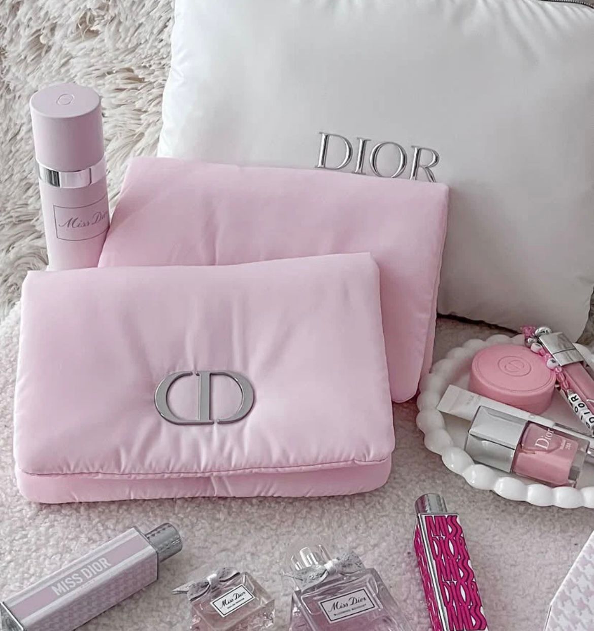 Dior Pillow Pouch